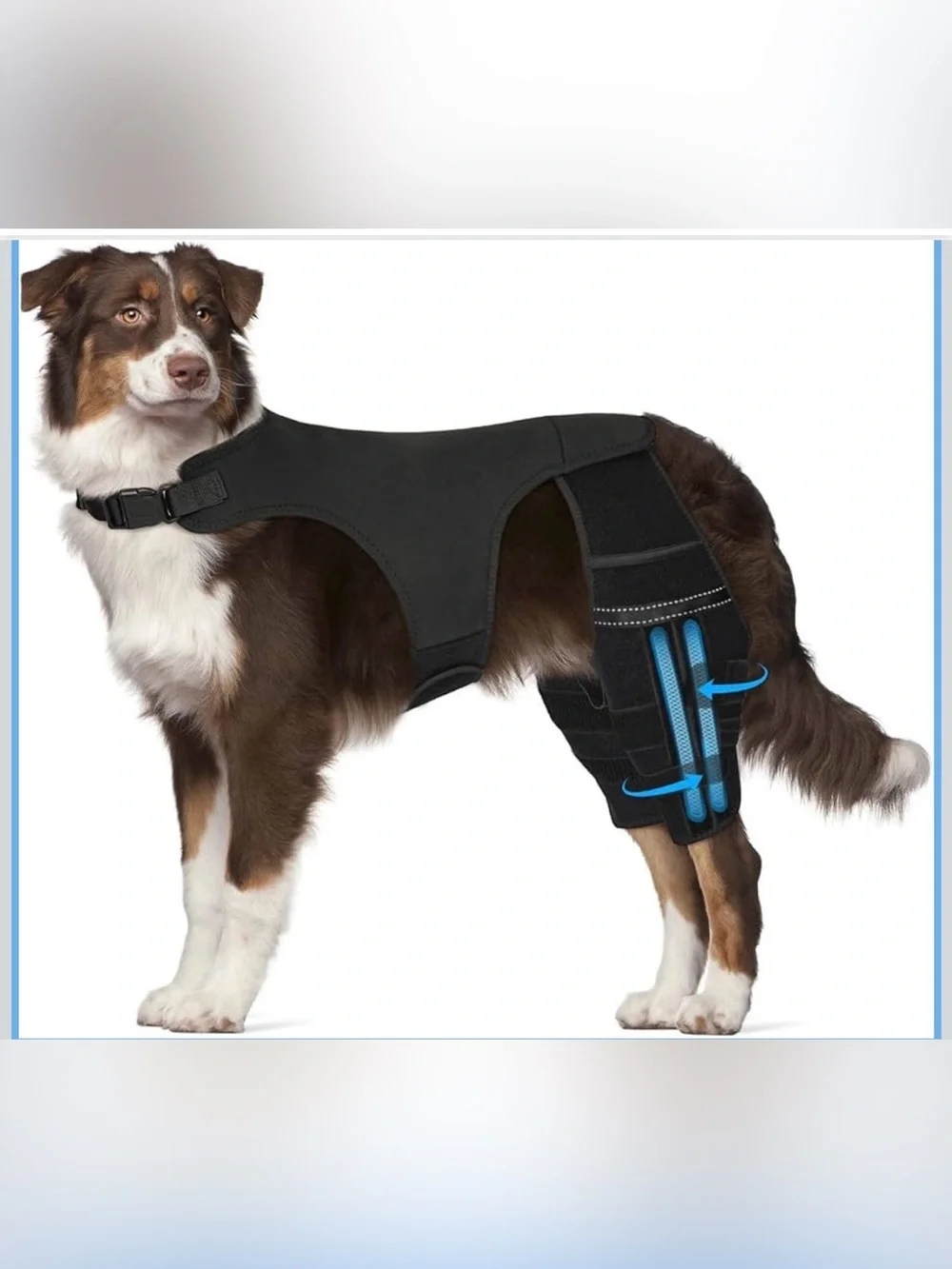 Dog Knee Brace For Torn Acl Hind Leg, 4 Stabilizers Dog Leg Brace L. 2039/DC-1